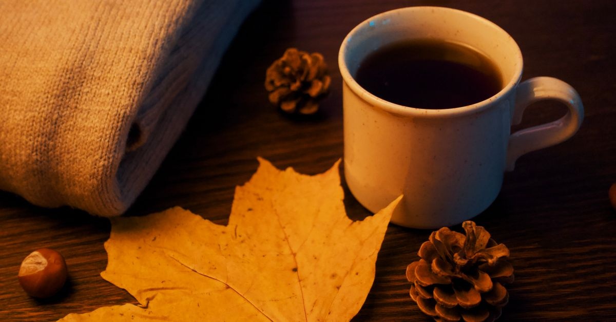 Herbstzauber ganz ohne Kitsch: So wird’s gemütlich und stilvoll zugleich