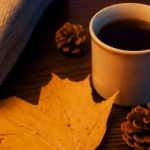 Herbstzauber ganz ohne Kitsch: So wird’s gemütlich und stilvoll zugleich