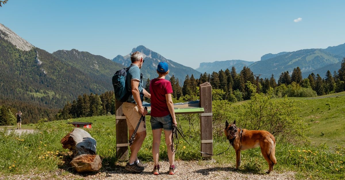 Entspannt unterwegs: Die schönsten Familienwanderungen mit kurzen, kinderfreundlichen Etappen
