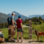 Entspannt unterwegs: Die schönsten Familienwanderungen mit kurzen, kinderfreundlichen Etappen